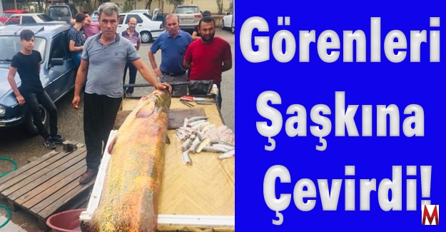 Görenleri Şaşkına Çevirdi Tam 110 Kilo!  